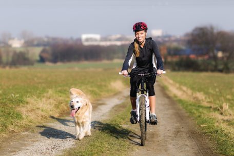 Tipps bei Angst vor Hunden / Nicht schreien, nicht anstarren