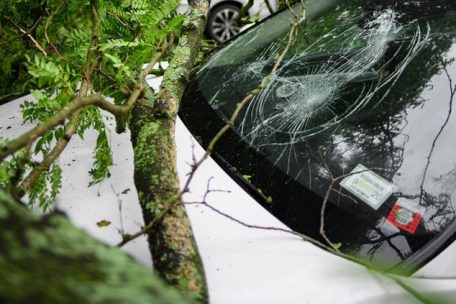 Luxemburg  / Erst rutscht sein Wagen den Hang hinunter, dann überschlägt er sich