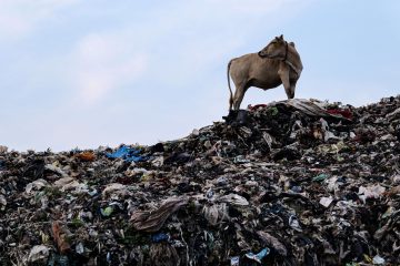Kritik / „Mouvement écologique“ erwägt rechtliche Schritte gegen Luxemburgs Klimaschutzgesetz