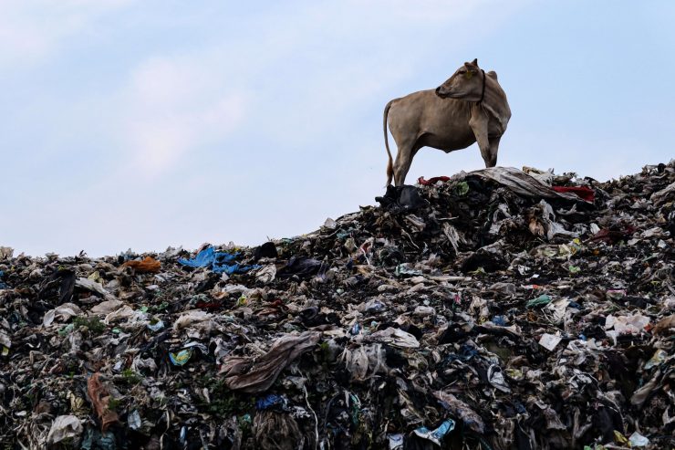 Kritik / „Mouvement écologique“ erwägt rechtliche Schritte gegen Luxemburgs Klimaschutzgesetz