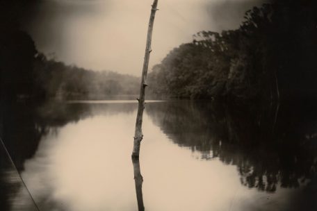 Sally Mann, Deep South, Untitled (Stick), 1998