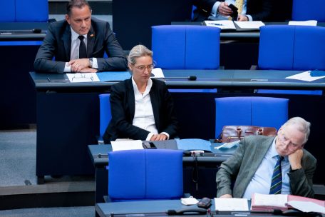 Deutschland / Bundestagsvizepräsidentin Claudia Roth im Interview über vier Jahre AfD im Parlament