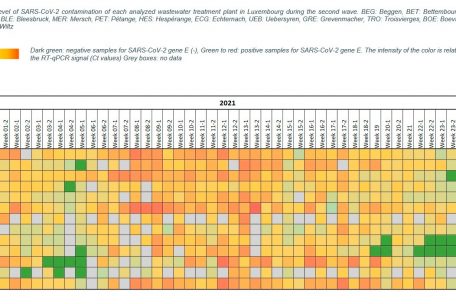 Grad der SARS-CoV-2-Kontamination jeder analysierten Kl&auml;ranlage in Luxemburg