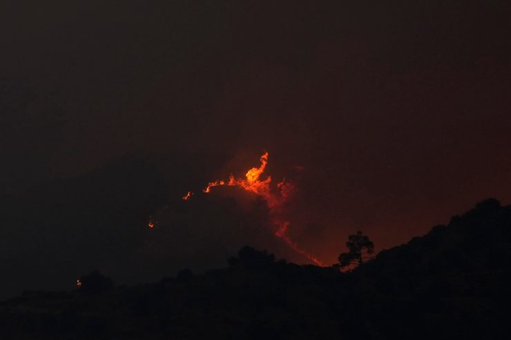 Trockenheit / Waldbrände bei Narbonne und auf Zypern