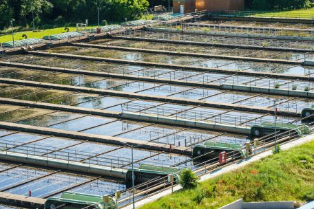 Coronastep / Abwasser-Untersuchungen in Luxemburg: „Hohe Prävalenz“ des Coronavirus