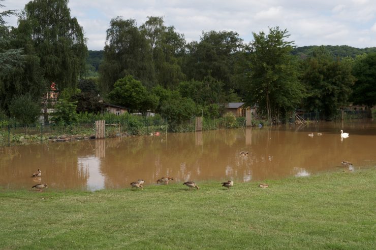 Gesundheit / Ministerium rät: Obst und Gemüse aus überfluteten Gärten lieber nicht essen oder kompostieren