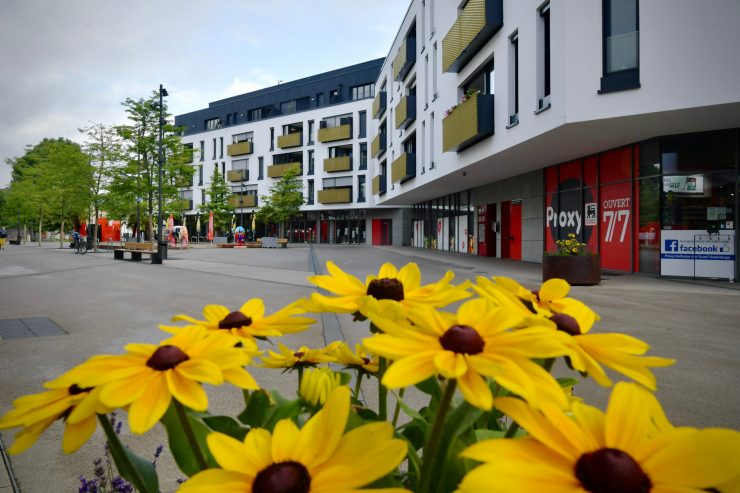 Synergien schaffen / Der „Service local de l’emploi“ in Düdelingen setzt auf verstärkte Präsenz