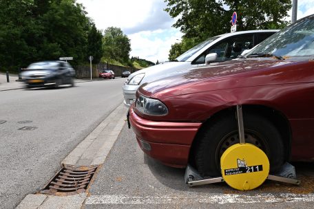 Editorial / Die „Fourrière“ im Süden als unendliche Geschichte: Ein Armutszeugnis