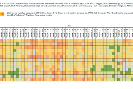 &Uuml;berblickgrafik