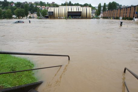 Forum / Fit für den Klimawandel