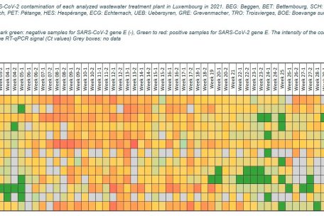 &Uuml;berblickgrafik