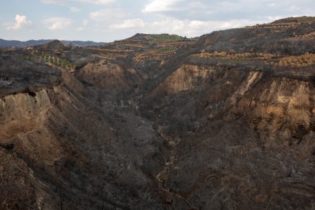 &nbsp;Verbrannt ist die Landschaft in der N&auml;he von Lalas, unweit von Olympia