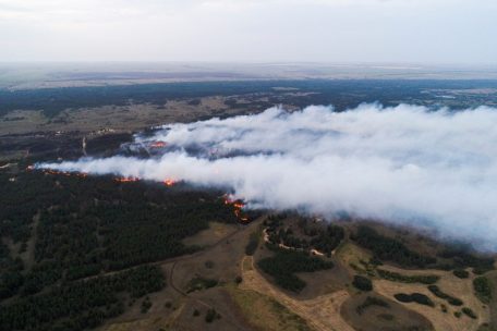 Russland: Ein Waldbrand mit einer Fl&auml;che von 200 Hektar im Bezirk Danilovka. Die verheerenden Waldbr&auml;nde in Russland k&ouml;nnten nach Einsch&auml;tzung von&nbsp;Umweltsch&uuml;tzern ein historisches Ausma&szlig; annehmen.