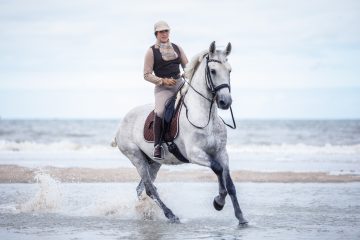 Faszination Pferde / „Working Equitation“: Wenn Pferd und Mensch als perfekte Einheit zusammenarbeiten