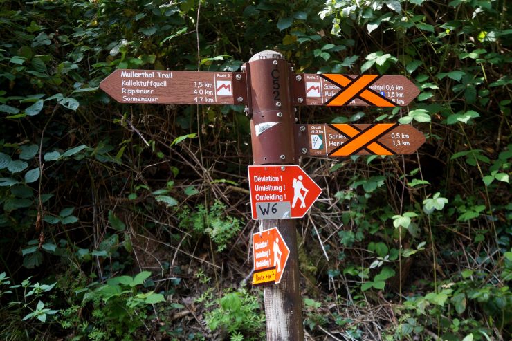 Nach der Flutkatastrophe im Sauertal / Unbeschwertes Wandervergnügen nach den Naturgewalten?