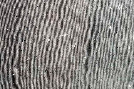 &bdquo;Hey What&ldquo; sort le 10 septembre sur Sub Pop