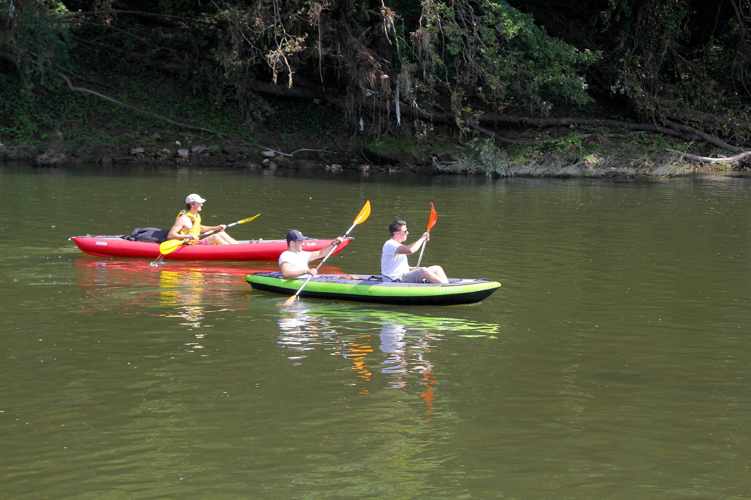 Foto: Herbert Becker