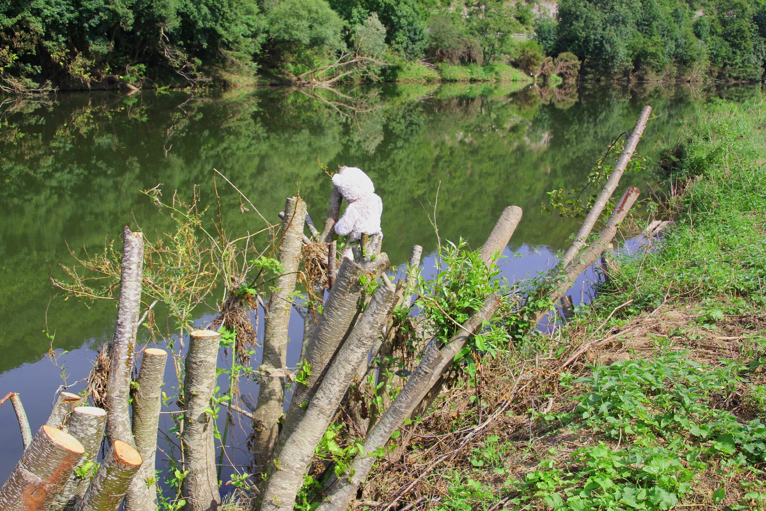 Foto: Herbert Becker