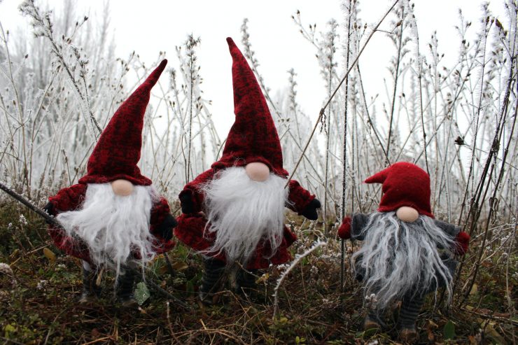 Märchenhafte Wesen früher und heute / Wenn Wichtel uns den Wald erklären