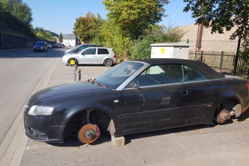 Parlamentarische Frage / „Fourrière“ im Süden: Auf dem Weg zur  unendlichen Geschichte