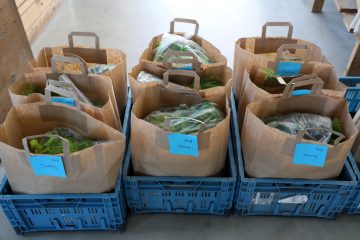 Lokale Produktion / Les Paniers de Sandrine: Hinter dem Betrieb liegen zwei schwierige Jahre