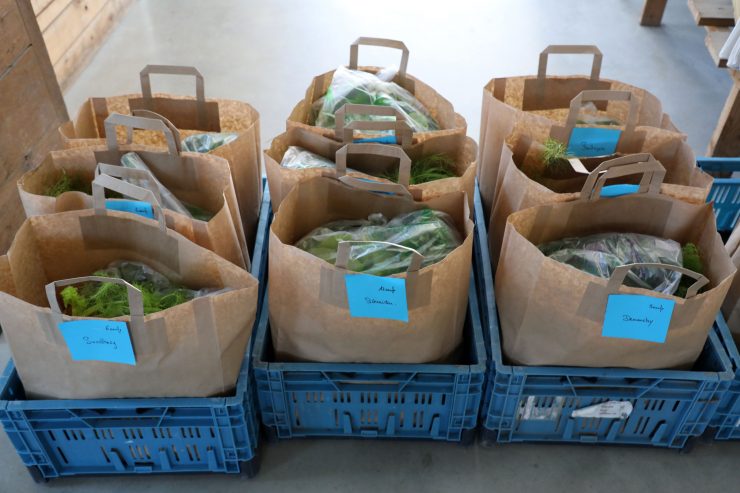 Lokale Produktion / Les Paniers de Sandrine: Hinter dem Betrieb liegen zwei schwierige Jahre