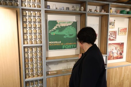 Alles &uuml;ber Senf