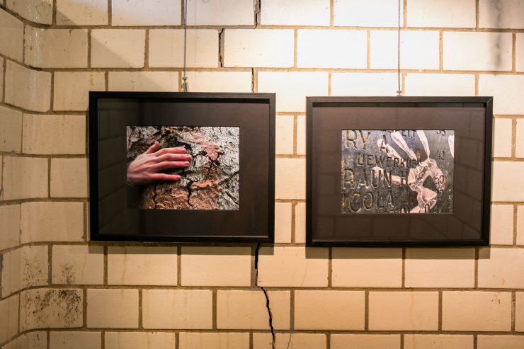 Ausstellung  / Menschliches Erbe und natürliche Fähigkeiten