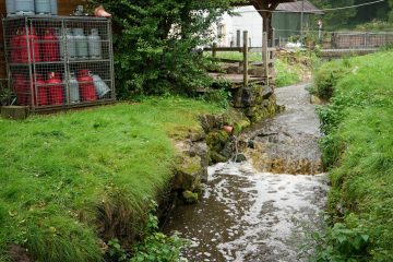 Gewässerverschmutzung / „Enorme Menge an Gülle“ fließt in Waldbilligerbach und Schwarze Ernz