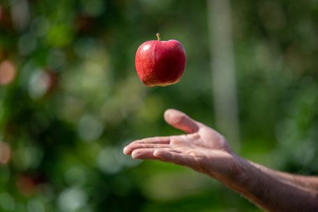 Standpunkt / Die Finanzierung eines nachhaltigen globalen Ernährungssystems