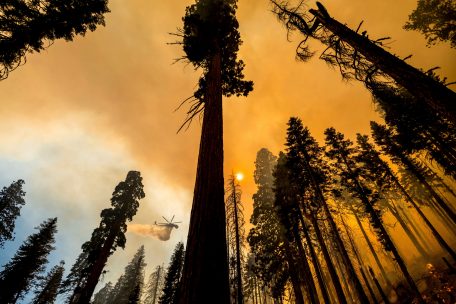 Standpunkt / Was der Klimawandel der Wirtschaft abverlangt