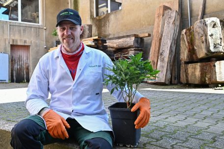 Gr&uuml;ner Daumen: Steve Wampach kennt sich mit Cannabis-Anbau aus