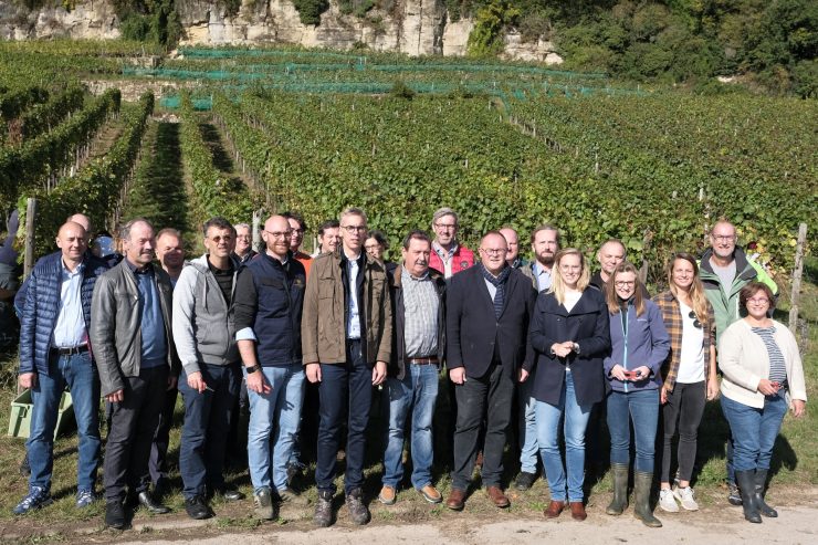 Weinlese 2021  / Trotz allem ein ordentlicher Jahrgang