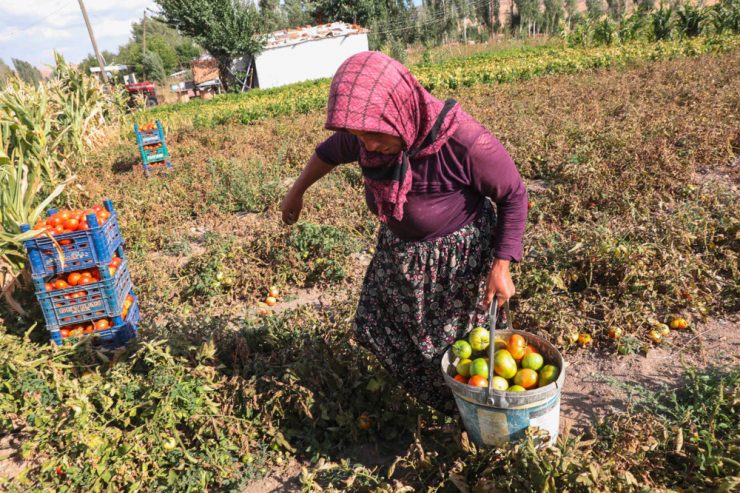 Forum / Beitrag zum World Decent Work Day: Was haben Tomaten und Kleidung gemeinsam?