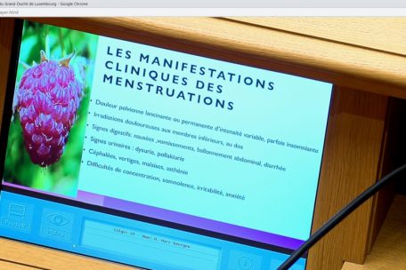 Per Pr&auml;sentation wurden die Abgeordneten an die vielen Facetten der Menstruationsbeschwerden erinnert