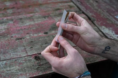 Petition 2025 m&ouml;chte eine &ouml;ffentliche Debatte und ein Referndum zur Legalisierung von Cannabis