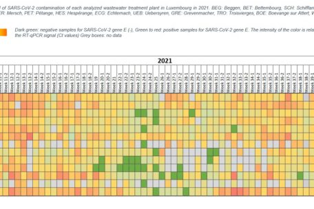 Grad der SARS-CoV-2-Kontamination jeder analysierten Kl&auml;ranlage in Luxemburg im Jahr 2021 