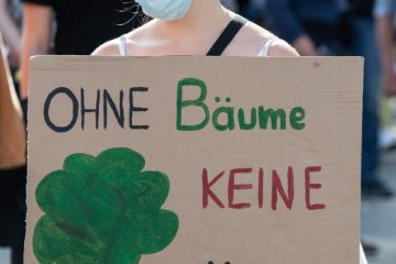 Ratgeber Studium / Jobs fürs Klima: Gibt es grüne Studiengänge abseits von MINT?