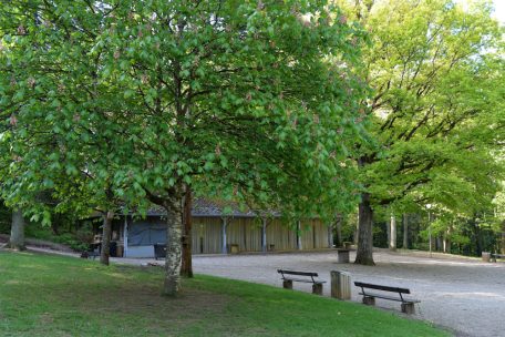 Feiern d&uuml;rfen in der Waldschule in Zukunft nur noch samstags und maximal bis 1 Uhr nachts stattfinden