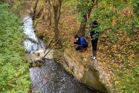 Proben werden entnommen, um Erkenntnisse &uuml;ber die Auswirkungen der Biomasse auf die Umwelt zu erlangen