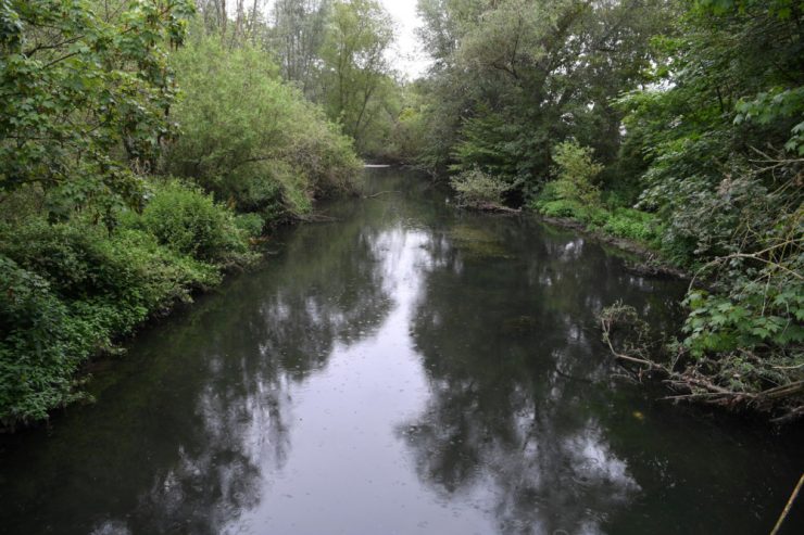 Gemeinderat / In Schifflingen herrscht große Einigkeit – auch im Frust über das Wasserwirtschaftsamt