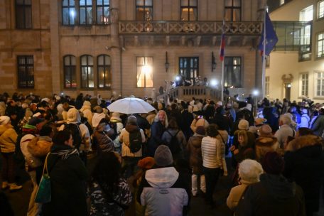 Keine Berührungsängste: Die Demonstranten vor der Chamber – einige stehen auf dem Treppenaufgang, direkt vor der Eingangstür