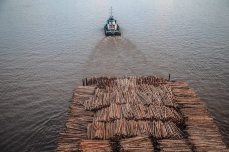 Holztransport auf Borneo