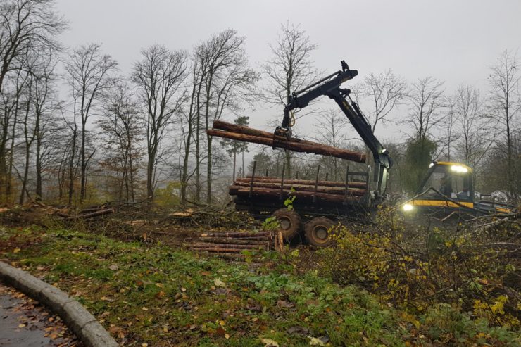 ESCH  / Wasser für 65.000 Menschen: Auf dem Galgenberg entstehen neue Trinkwasserreservoirs