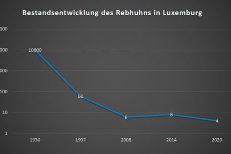 Fr&uuml;her gab es in Luxemburg mehrere Tausend Rebhuhn-Brutpaare &ndash; mittlerweile sind es nur noch vier