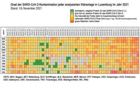 Screenshot aus dem Coronastep-Report vom 19. November/Bearbeitung (&Uuml;bersetzungen) durch den Autor