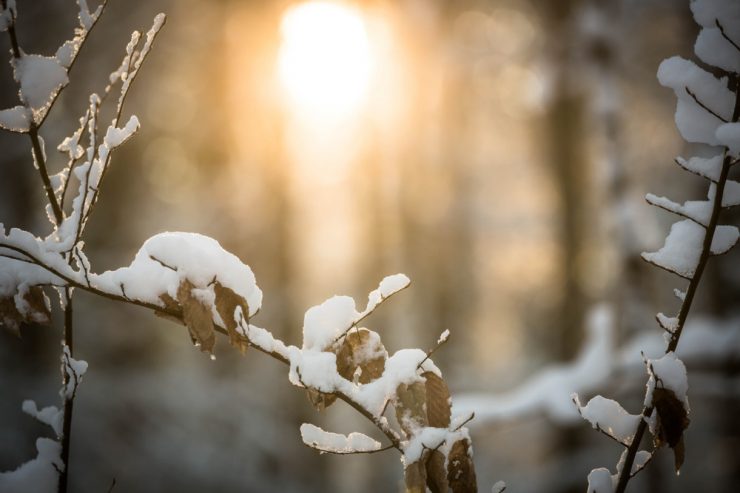 Wetter / Achtung, Glättegefahr – in Luxemburg soll’s am Freitagabend schneien