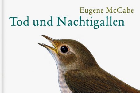 Lust zu lesen / Herz und Gift: „Tod und Nachtigallen“ ist ein irisches Familiendrama