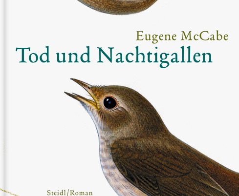 Lust zu lesen / Herz und Gift: „Tod und Nachtigallen“ ist ein irisches Familiendrama