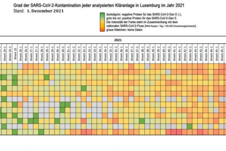 Screenshot aus dem Coronastep-Report vom 1. Dezember/Bearbeitung (&Uuml;bersetzungen) durch den Autor